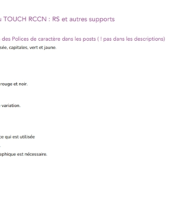 Audit RS Touch 1/4