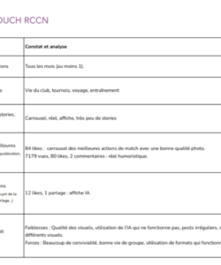 Audit RS Touch 3/4