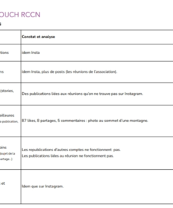 Audit RS Touch 2/4
